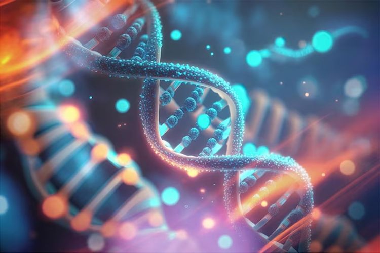 Hard Drive Berbasis DNA