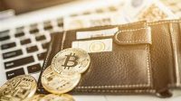 Kenali Berbagai Macam Dompet Kripto, Mana yang Paling Cocok?