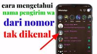 Mengungkap-Identitas-Nomor-Tak-Dikenal-di-WhatsApp-Tips-Cerdas