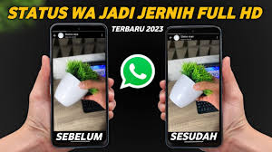 cara agar Status WhatsApp tidak pecah dan buram