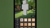 skin minecraft