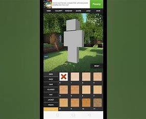 skin minecraft