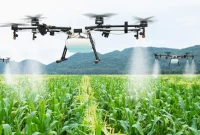 Drone? Inovasi yang Mengubah Cara Bekerja