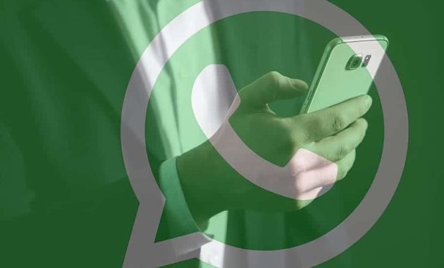Login WhatsApp di HP