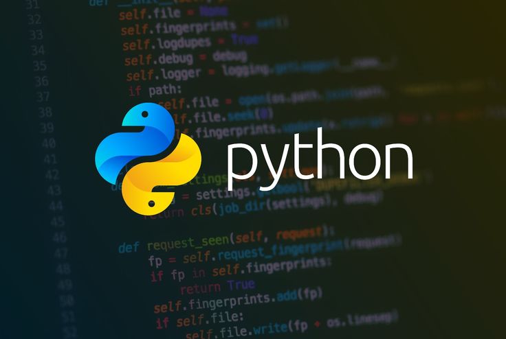 Sang Arsitek di Balik Bahasa Pemrograman Python