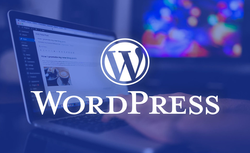 Panduan Membuat Website dengan WordPress: Pemula Jadi Pro!