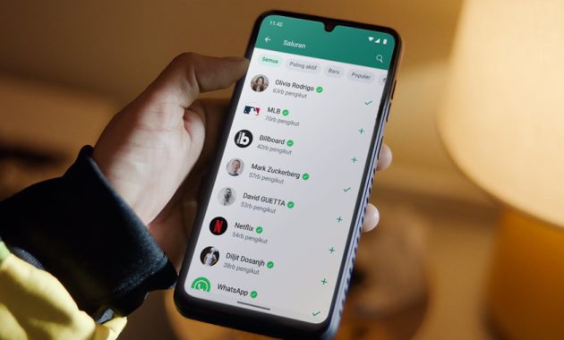 Whatsapp makin mirip Instagram?